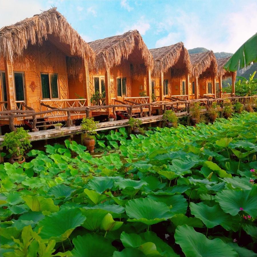 Hang Mua Lotus Homestay ニンビン エクステリア 写真