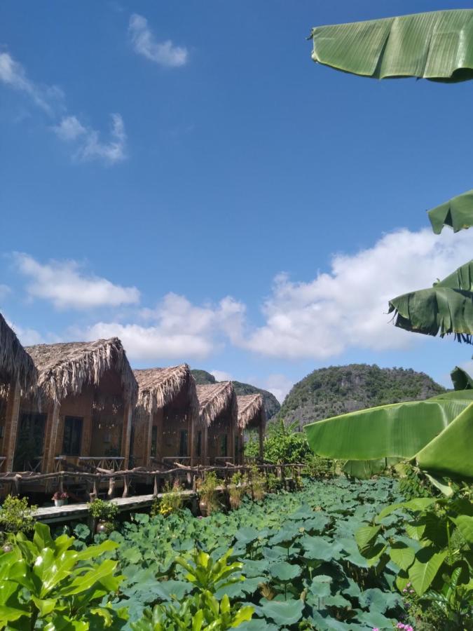Hang Mua Lotus Homestay ニンビン エクステリア 写真
