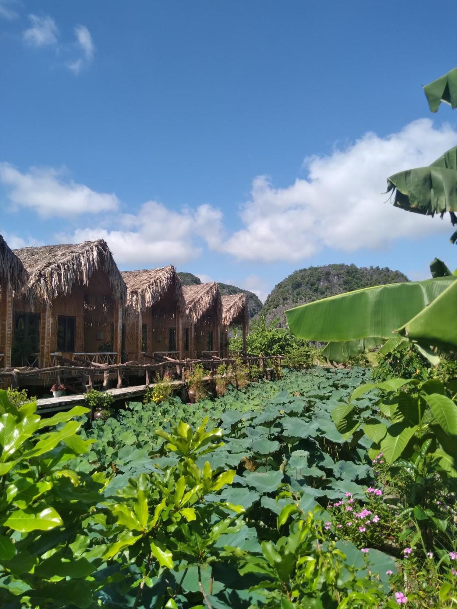 Hang Mua Lotus Homestay ニンビン エクステリア 写真